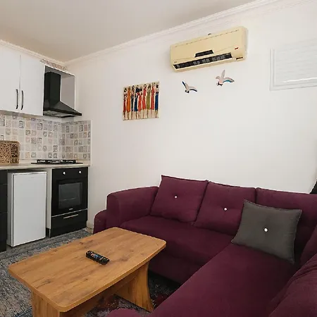 מלון דירות Hillside House