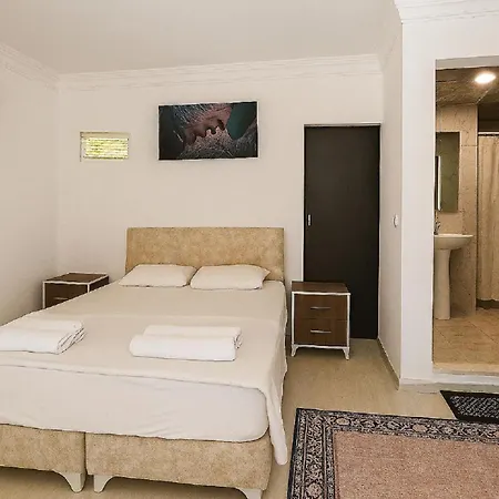 Hillside House 4* シダ