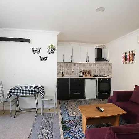 Hillside House 4*