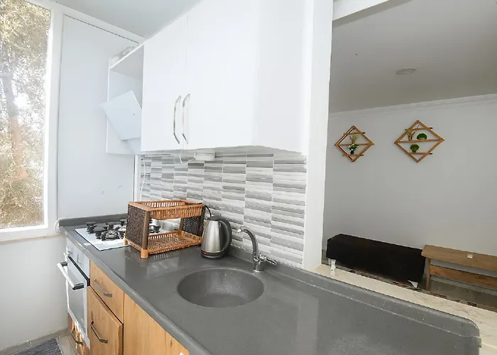 Lejlighedshotel Hillside House Side